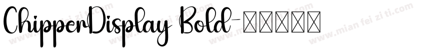 ChipperDisplay Bold字体转换